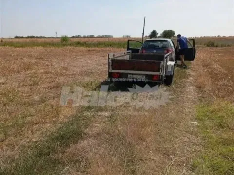 Prodaja, plac, 10300m², Dobanovci, Surčin - image 8