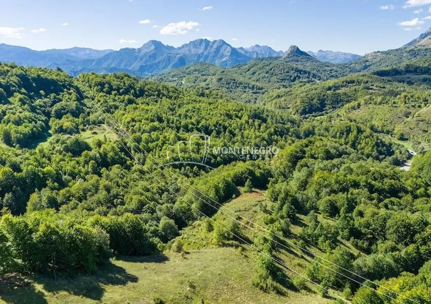 Sale, land lot, 140000m², Crkvine, Kolašin