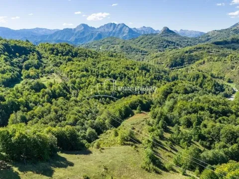 Prodaja, plac, 140000m², Crkvine, Kolašin - image 6