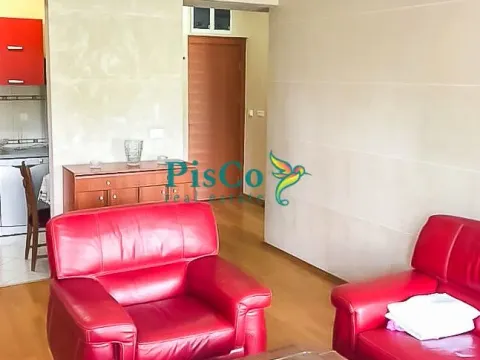 Izdavanje, jednosoban stan, 55m², Centar, Podgorica - image 3