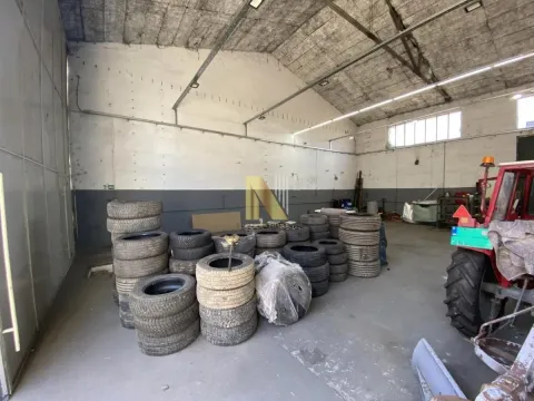 Rent, office space, 681m², Salajka, Novi Sad Sve Podlokacije - image 3