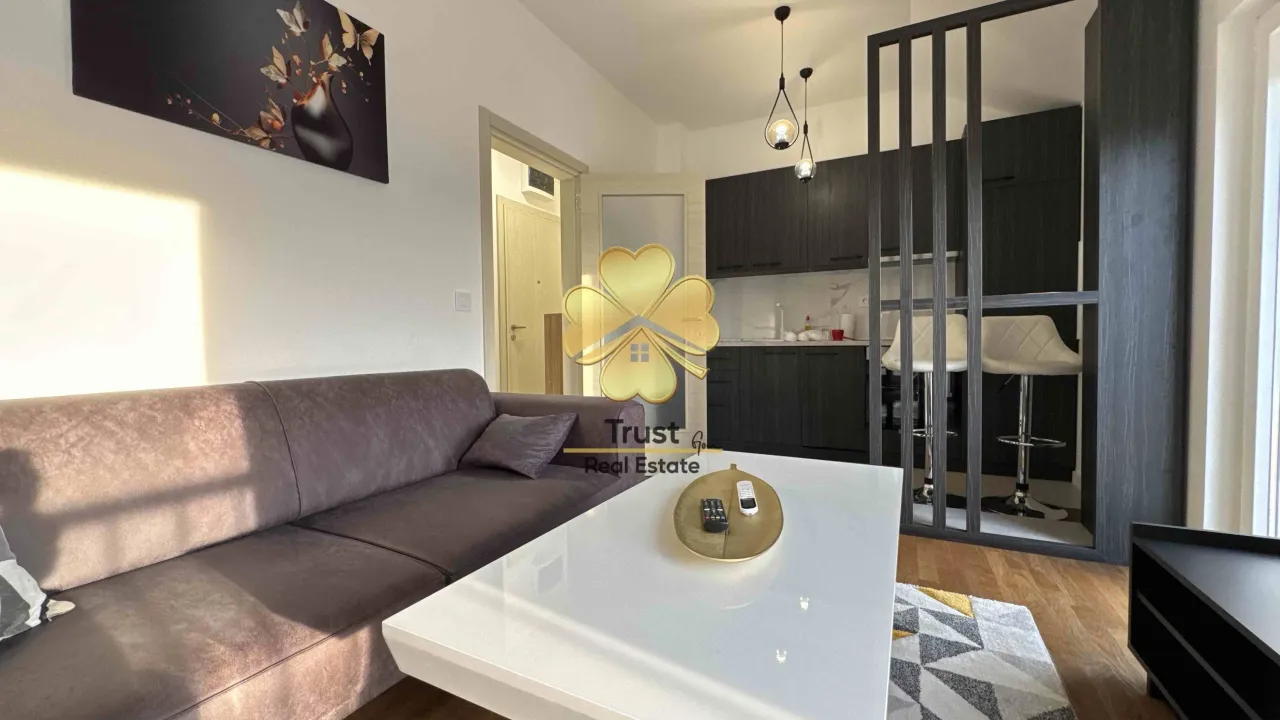 Rent, one bedroom apartment, 50m², Zagorič, Podgorica