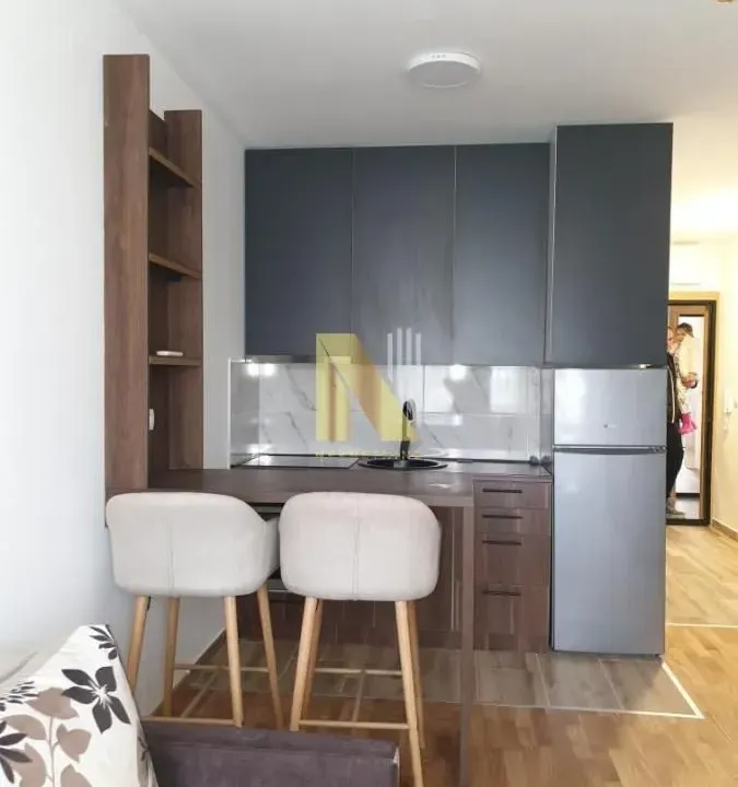 Izdavanje, garsonjera, 23m², Veternik, Novi Sad Sve Podlokacije
