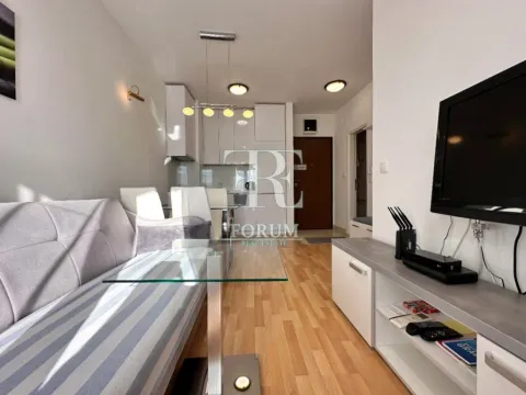 Izdavanje, jednosoban stan, 40m², Stari Aerodrom, Podgorica - image 4