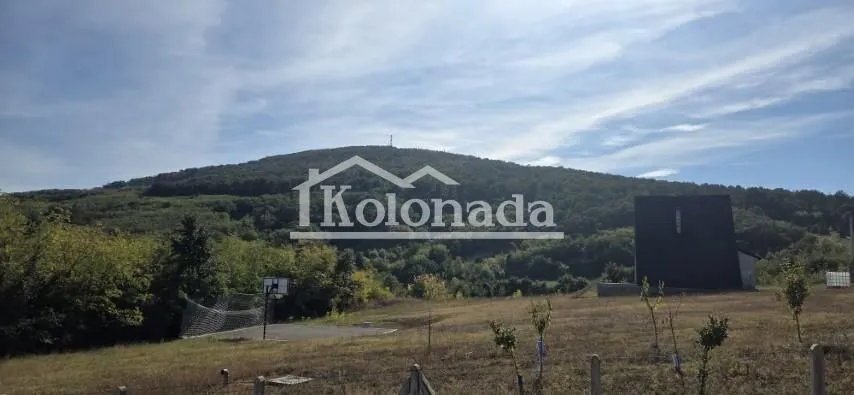 Pogled na okolnu prirodu i planinu sa imanja.