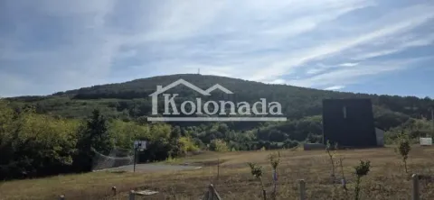 Pogled na okolnu prirodu i planinu sa imanja. - image 5
