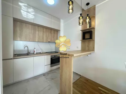 Izdavanje, jednosoban stan, 50m², Zagorič, Podgorica - image 6