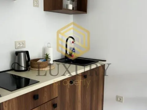 Izdavanje, garsonjera, 27m², Pržno, Budva - image 4