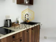 Izdavanje, garsonjera, 27m², Pržno, Budva - image 4