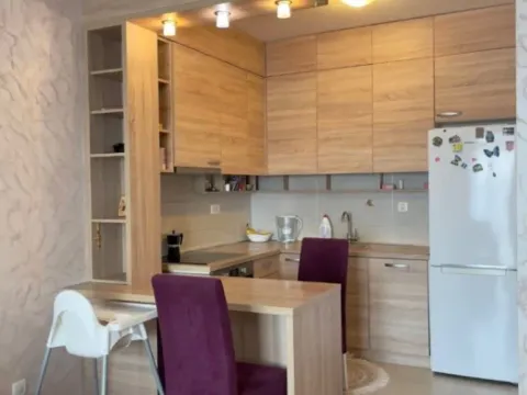 Izdavanje, jednosoban stan, 50m², Ljubović, Podgorica - image 4