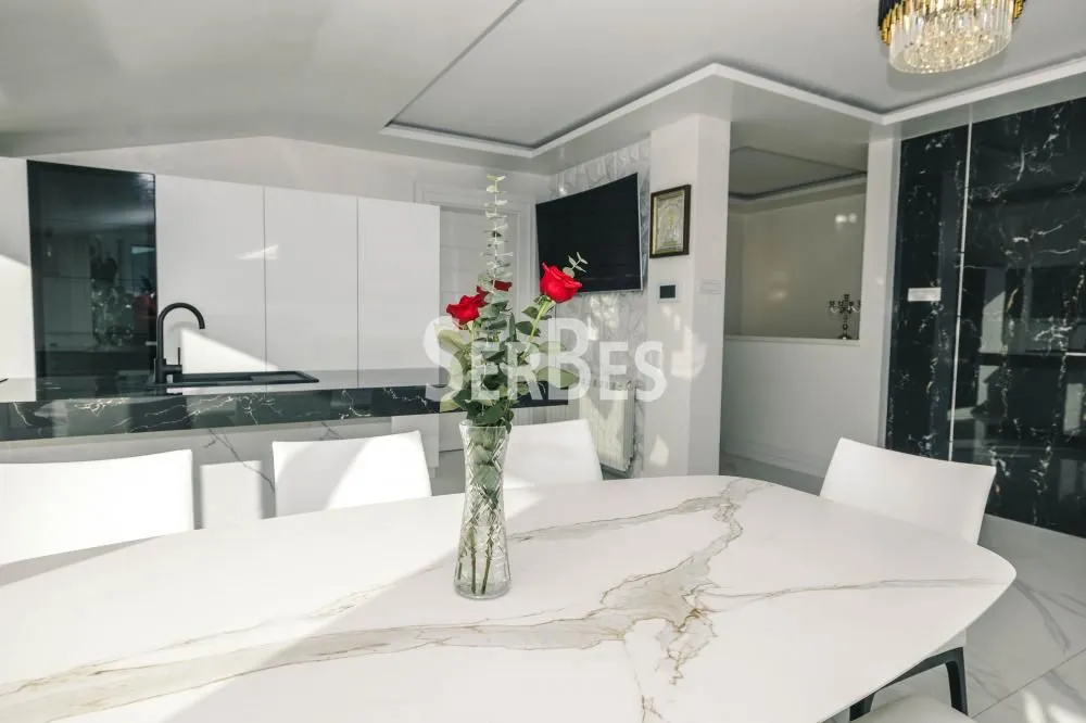 Izdavanje, stan, 360m², Socijalno, Novi Sad Sve Podlokacije