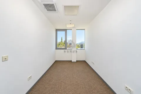 Empty bright room with a window and carpet flooring. - image 8