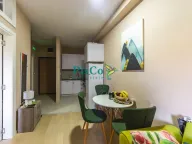 Izdavanje, jednosoban stan, 37m², Centar, Podgorica - image 2