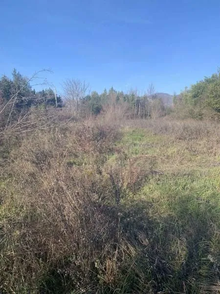 Prodaja, plac, 1000m², Kotor, Crna Gora