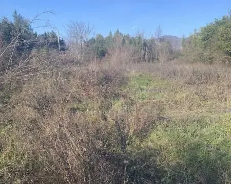 Prodaja, plac, 1000m², Kotor, Crna Gora - image 2