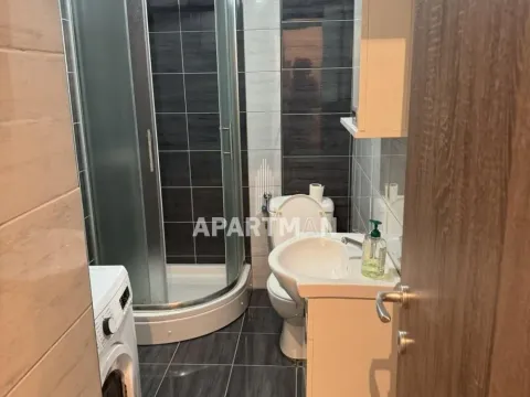 Izdavanje, stan, 24m², Palilula Sve Podlokacije, Beograd - image 7