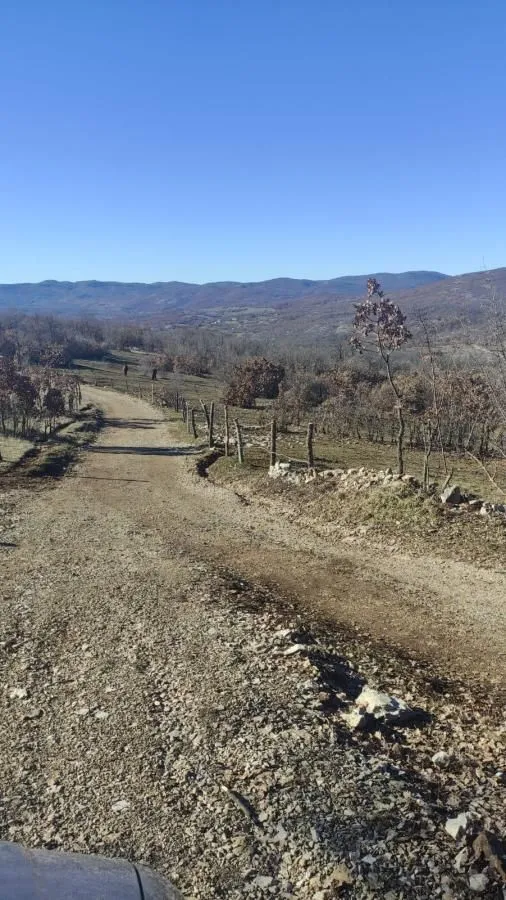 Prodaja, plac, 136000m², Dubočke, Nikšić