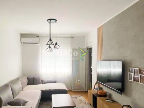 Izdavanje, jednosoban stan, 47m², Ljubović, Podgorica - image 4