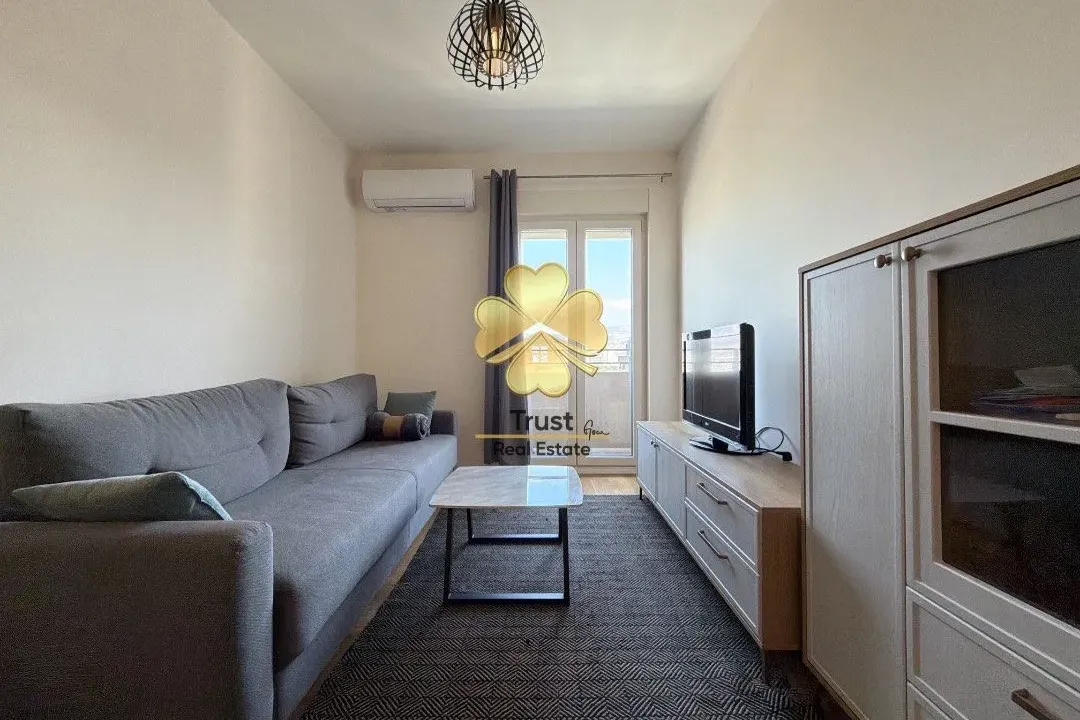 Izdavanje, jednosoban stan, 45m², Central Point, Podgorica