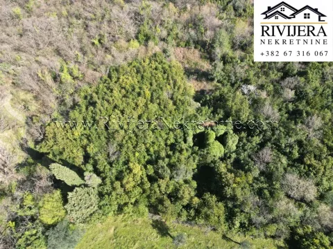 Prodaja, plac, 3769m², Stoliv, Kotor - image 7