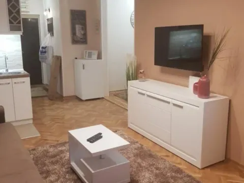 Izdavanje, jednosoban stan, 42m², Novi Sad, Srbija - image 2