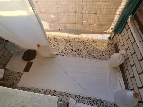 Sale, three bedroom apartment, 78m², Bulevar Oslobodjenja, Novi Sad Sve Podlokacije - image 15