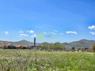 Prodaja, plac, 1800m², Dajbabe, Podgorica - image 1