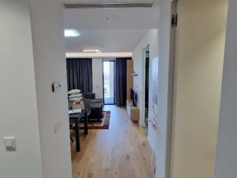 Sale, two bedroom apartment, 45m², Novi Beograd Sve Podlokacije, Beograd - image 5