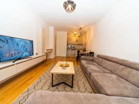 Izdavanje, jednosoban stan, 49m², Central Point, Podgorica - image 1