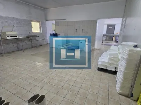 Prodaja, poslovni prostor, 482m², Vladičin Han, Srbija - image 3