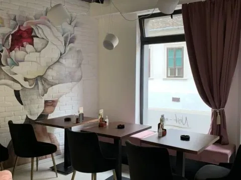 Izdavanje, ugostiteljski objekat, 226m², Sremski Karlovci, Novi Sad - image 2