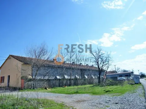 Sale, office space, 510m², Zeta, Podgorica - image 4