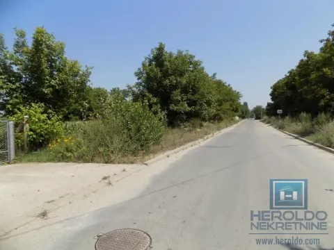 Rent, office space, 200m², Paraćin, Srbija - image 3