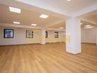 Rent, office space, 276m², Zabjelo, Podgorica - image 5