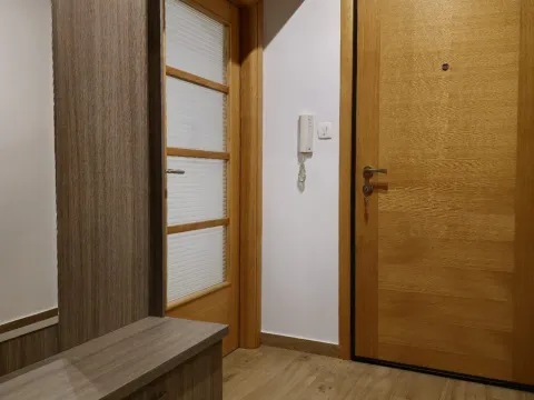 Rent, one bedroom apartment, 46m², Nova Dalmatinska, Podgorica - image 15