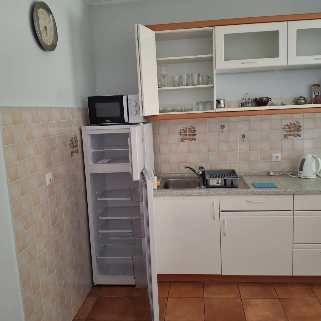 Manja kuhinja sa bijelim elementima, sudoperom i frižiderom.
