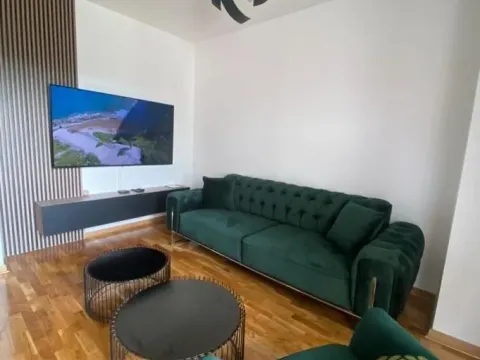Rent, two bedroom apartment, 49m², Hala Pionir, Palilula Sve Podlokacije