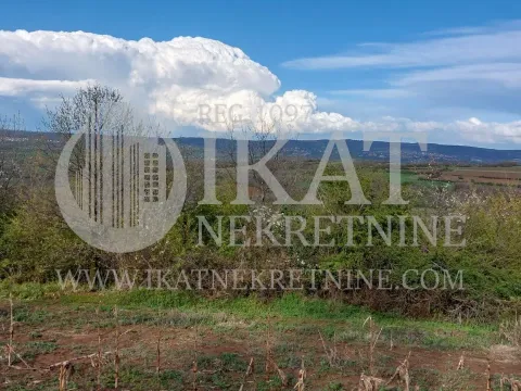 Sale, land lot, 55000m², Kosmaj, Sopot - image 5