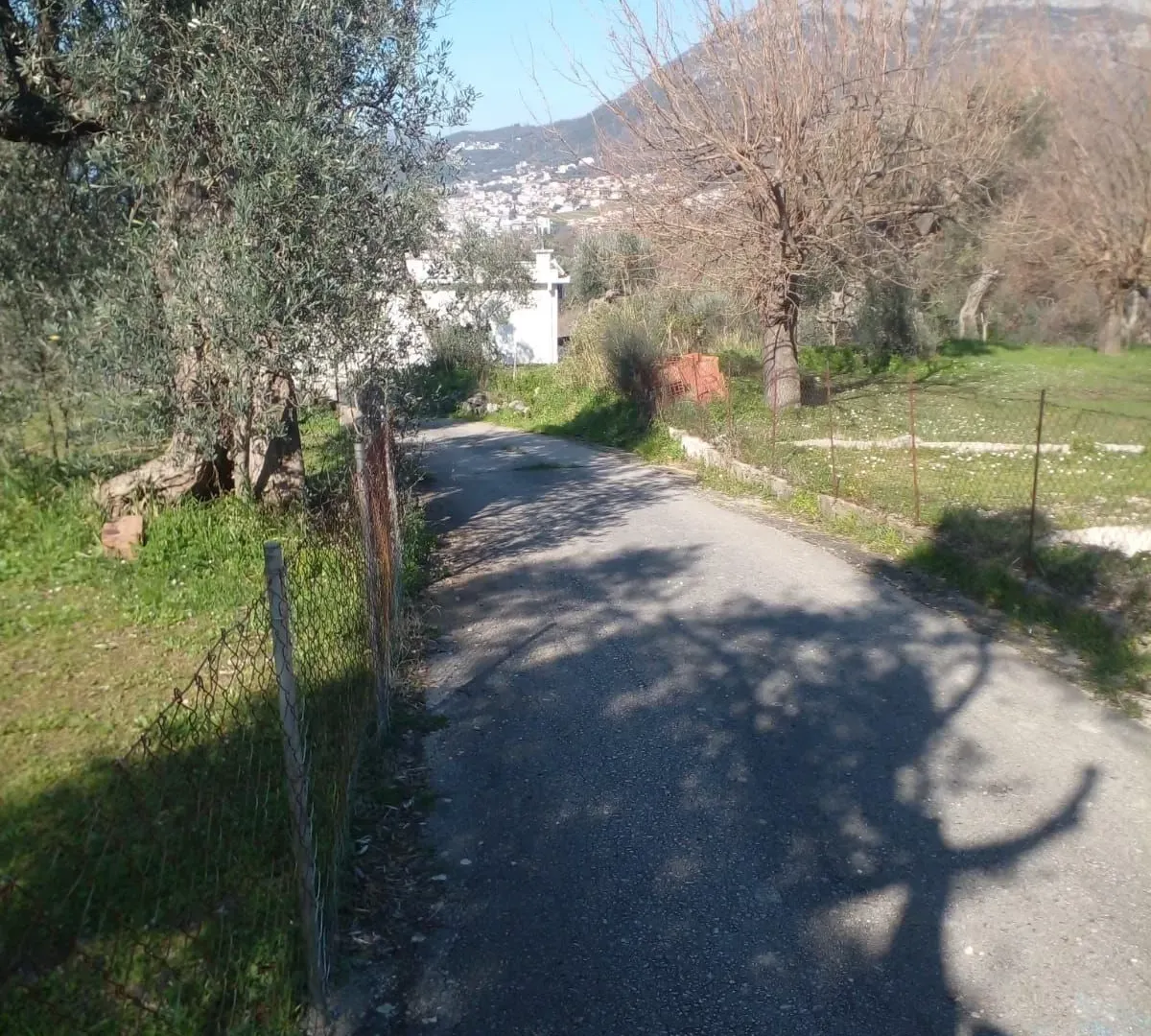 Prodaja, plac, 4745m², Marovići, Bar