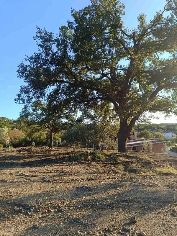 Prodaja, plac, 4200m², Bjeliši, Bar