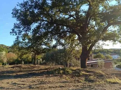 Prodaja, plac, 4200m², Bjeliši, Bar - image 12