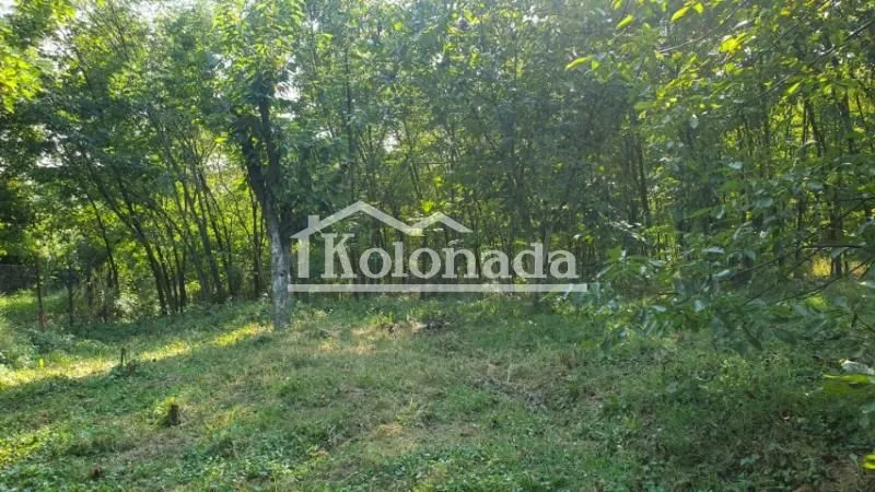 Prodaja, kuća, 141m², Babe, Sopot