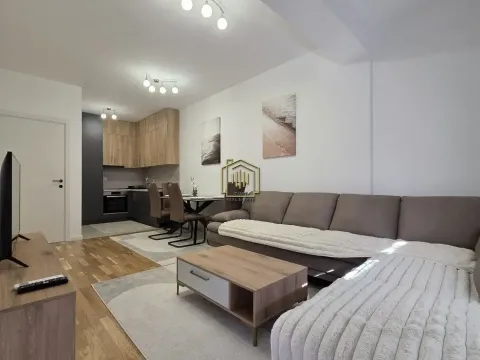 Rent, one bedroom apartment, 44m², Stari Aerodrom, Podgorica - image 2