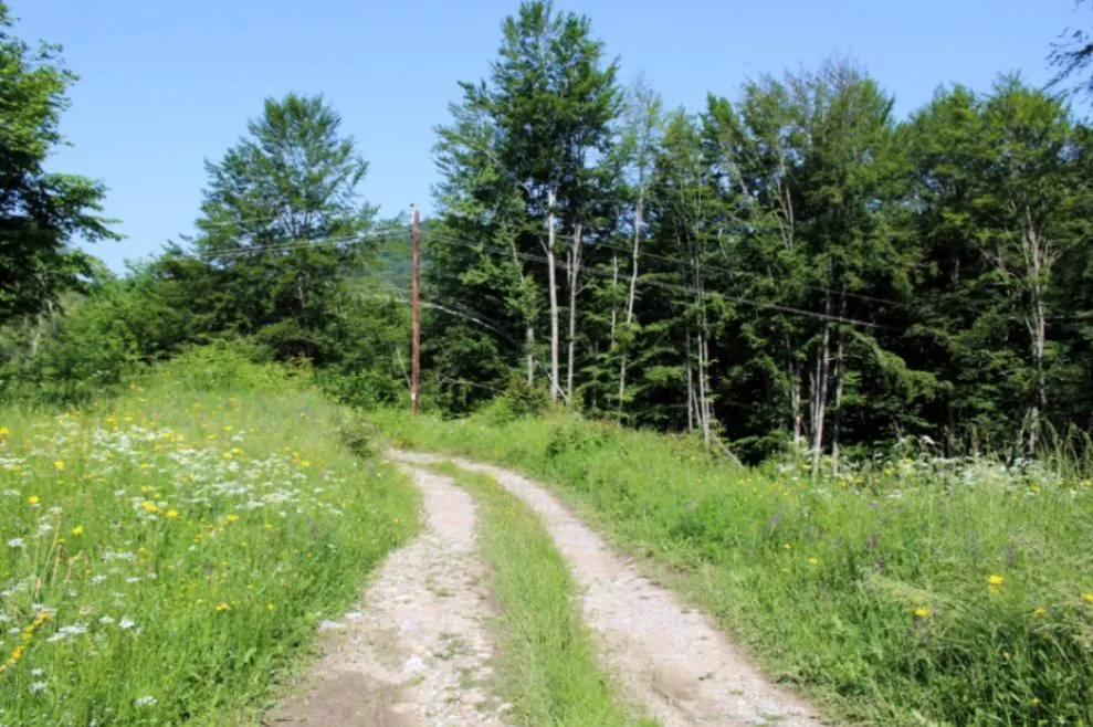 Prodaja, plac, 89208m², Padež, Kolašin