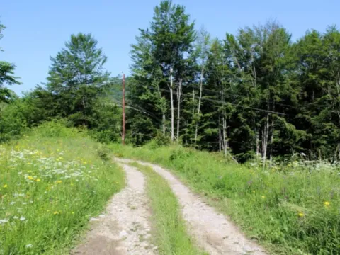 Prodaja, plac, 89208m², Padež, Kolašin - image 5