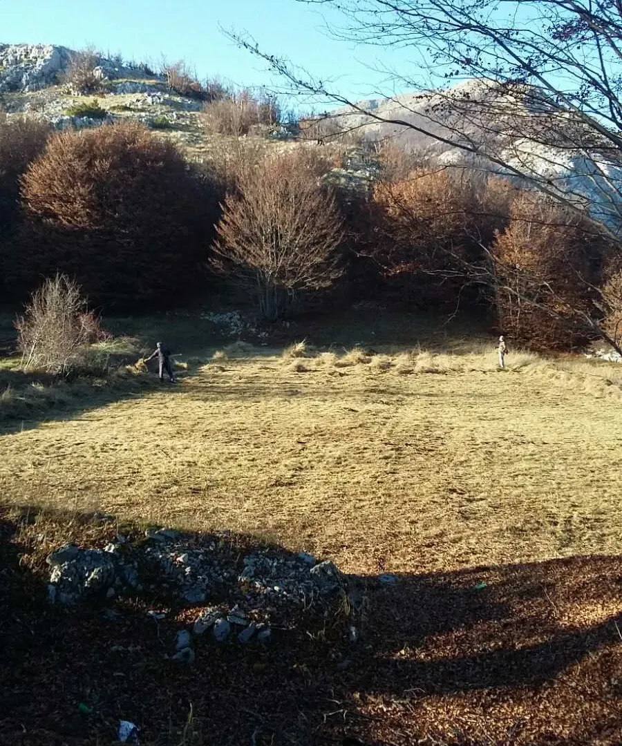 Prodaja, plac, 3002m², Cetinje, Crna Gora