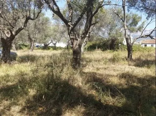 Prodaja, plac, 604m², Bar, Crna Gora