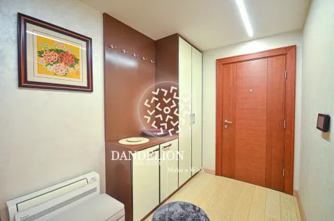 Rent, one bedroom apartment, 59m², Central Point, Podgorica - image 914