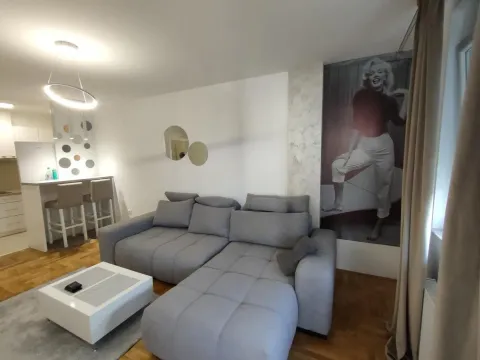 Rent, two bedroom apartment, 43m², Telep, Novi Sad Sve Podlokacije - image 2