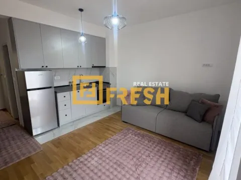 Rent, studio apartment, 35m², Zabjelo, Podgorica - image 3
